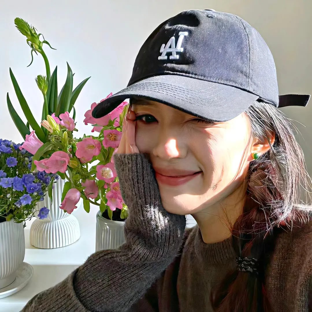 爱出猫